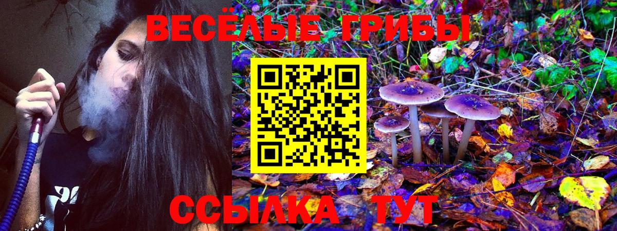Псилоцибиновые грибы ЛСД  Вход с VPN  Валуйки 